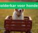 Bolderkar voor honden